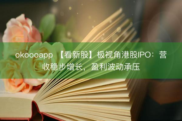 okoooapp 【看新股】极视角港股IPO：营收稳步增长，盈利波动承压