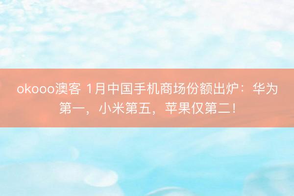 okooo澳客 1月中国手机商场份额出炉：华为第一，小米第五，苹果仅第二！