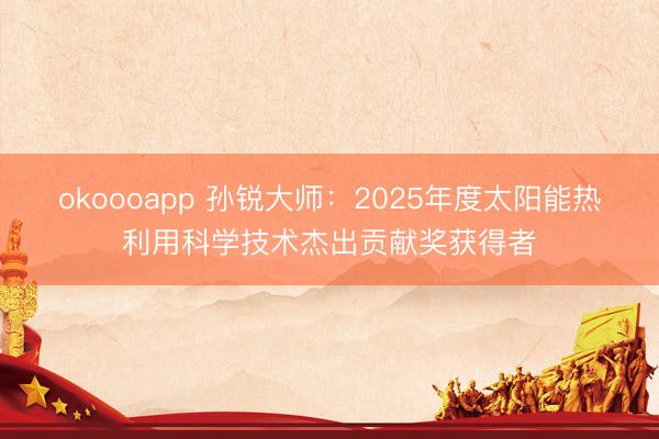 okoooapp 孙锐大师：2025年度太阳能热利用科学技术杰出贡献奖获得者