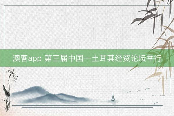 澳客app 第三届中国—土耳其经贸论坛举行