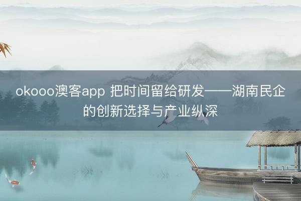 okooo澳客app 把时间留给研发——湖南民企的创新选择与产业纵深