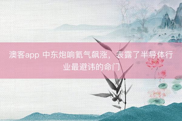 澳客app 中东炮响氦气飙涨，表露了半导体行业最避讳的命门