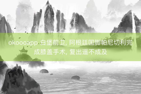 okoooapp 白堡前卫， 阿根廷国脚帕尼切利完成膝盖手术， 复出遥不成及