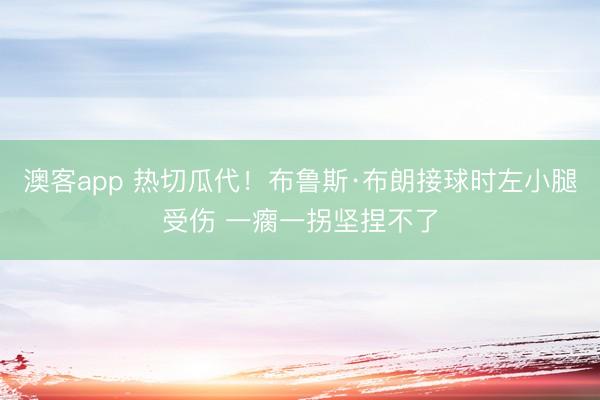 澳客app 热切瓜代！布鲁斯·布朗接球时左小腿受伤 一瘸一拐坚捏不了