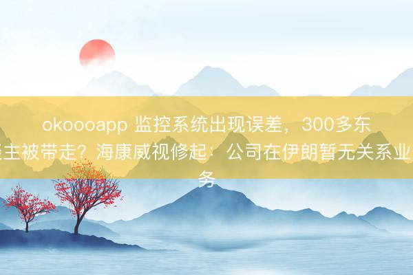 okoooapp 监控系统出现误差,300多东谈主被带走?海康威视修起:公司在伊朗暂无关系业务