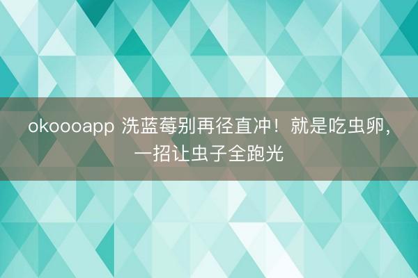 okoooapp 洗蓝莓别再径直冲！就是吃虫卵，一招让虫子全跑光