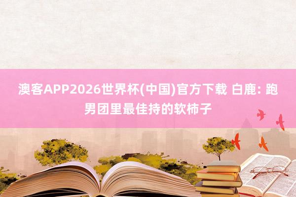 澳客APP2026世界杯(中国)官方下载 白鹿: 跑男团里最佳持的软柿子