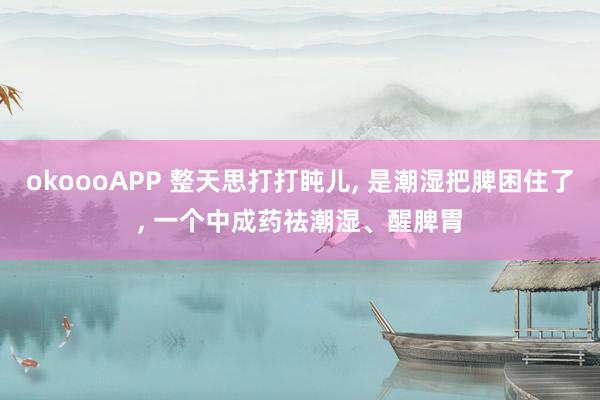 okoooAPP 整天思打打盹儿， 是潮湿把脾困住了， 一个中成药祛潮湿、醒脾胃