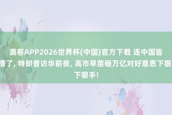 澳客APP2026世界杯(中国)官方下载 连中国皆看懵了， 特朗普访华前夜， 高市早苗砸万亿对好意思下狠手!