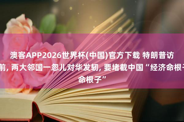 澳客APP2026世界杯(中国)官方下载 特朗普访华前, 两大邻国一忽儿对华发轫, 要堵截中国“经济命根子”