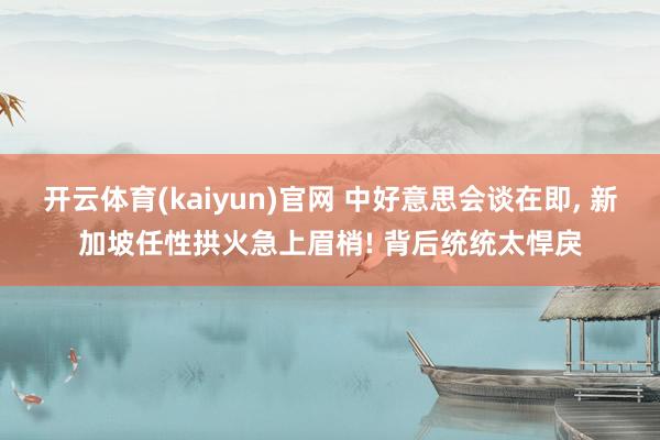 okooo澳客APP2026世界杯中国官网 中好意思会谈在即， 新加坡荒诞拱火急上眉梢! 背后共计太无情