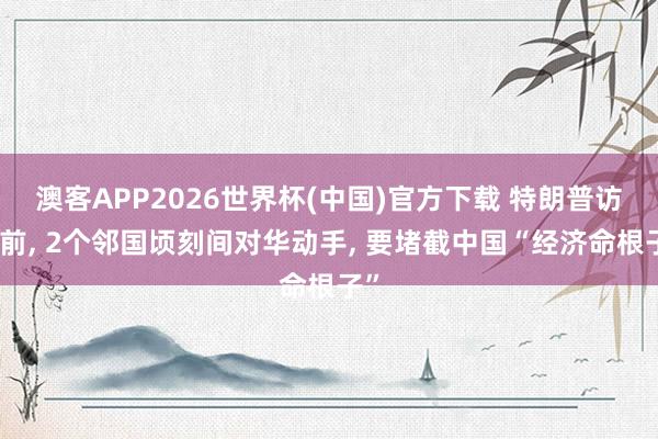 澳客APP2026世界杯(中国)官方下载 特朗普访华前， 2个邻国顷刻间对华动手， 要堵截中国“经济命根子”