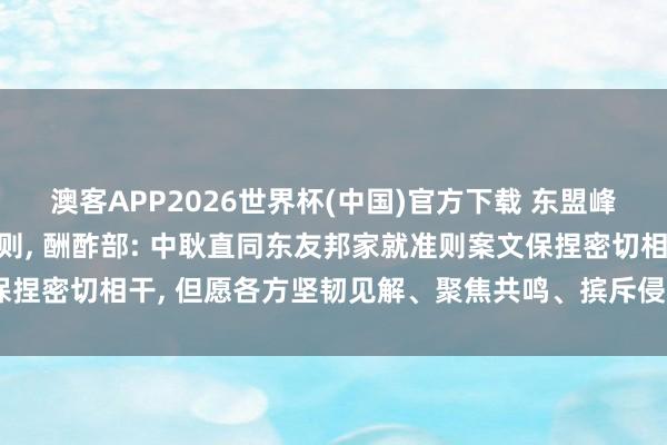 澳客APP2026世界杯(中国)官方下载 东盟峰会命令制定南海当作准则， 酬酢部: 中耿直同东友邦家就准则案文保捏密切相干， 但愿各方坚韧见解、聚焦共鸣、摈斥侵犯， 争取早日结束