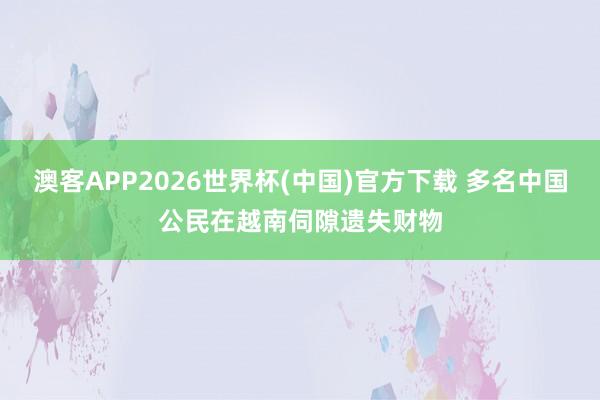 澳客APP2026世界杯(中国)官方下载 多名中国公民在越南伺隙遗失财物