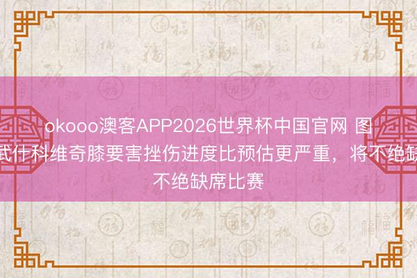 okooo澳客APP2026世界杯中国官网 图片报：武什科维奇膝要害挫伤进度比预估更严重，将不绝缺席比赛