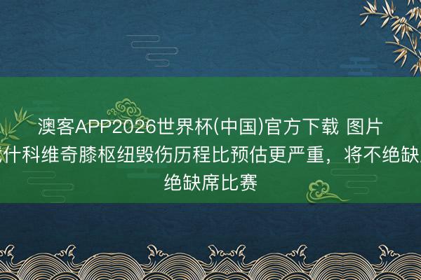 澳客APP2026世界杯(中国)官方下载 图片报：武什科维奇膝枢纽毁伤历程比预估更严重，将不绝缺席比赛