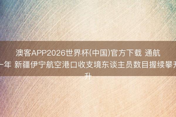 澳客APP2026世界杯(中国)官方下载 通航一年 新疆伊宁航空港口收支境东谈主员数目握续攀升