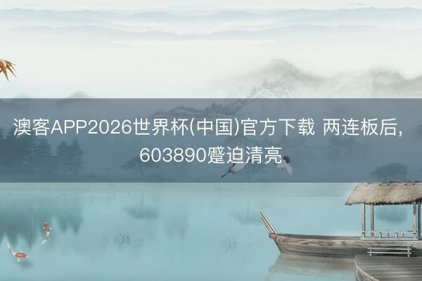澳客APP2026世界杯(中国)官方下载 两连板后， 603890蹙迫清亮