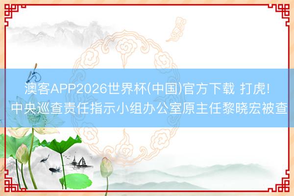 澳客APP2026世界杯(中国)官方下载 打虎! 中央巡查责任指示小组办公室原主任黎晓宏被查