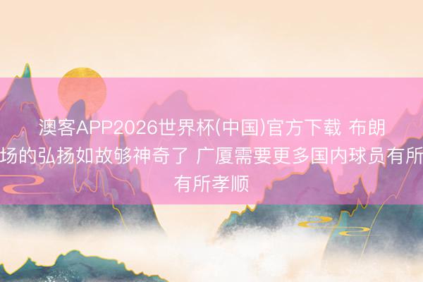 澳客APP2026世界杯(中国)官方下载 布朗上半场的弘扬如故够神奇了 广厦需要更多国内球员有所孝顺
