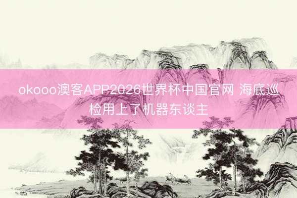 okooo澳客APP2026世界杯中国官网 海底巡检用上了机器东谈主