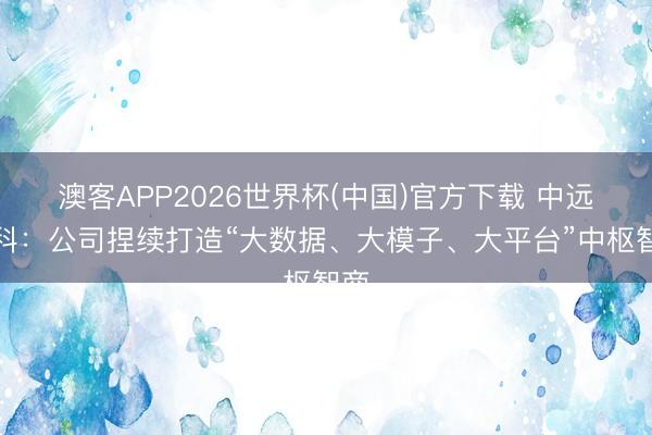 澳客APP2026世界杯(中国)官方下载 中远海科：公司捏续打造“大数据、大模子、大平台”中枢智商
