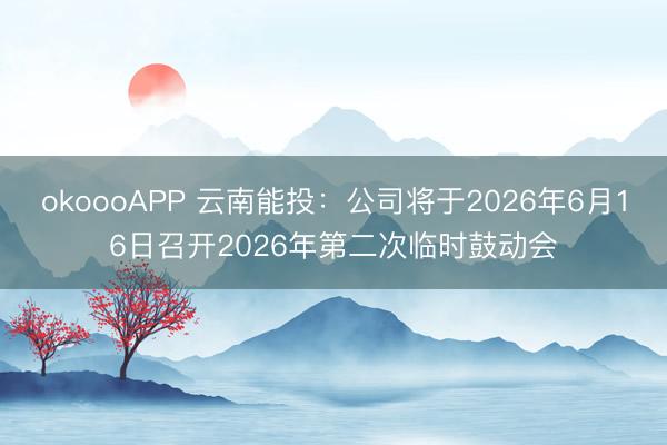okoooAPP 云南能投：公司将于2026年6月16日召开2026年第二次临时鼓动会