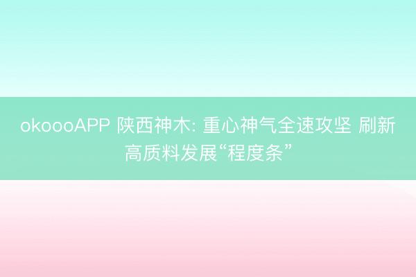 okoooAPP 陕西神木: 重心神气全速攻坚 刷新高质料发展“程度条”