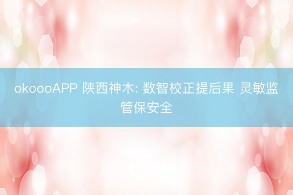 okoooAPP 陕西神木: 数智校正提后果 灵敏监管保安全