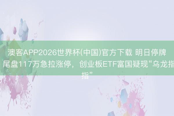 澳客APP2026世界杯(中国)官方下载 明日停牌！尾盘117万急拉涨停，创业板ETF富国疑现“乌龙指”