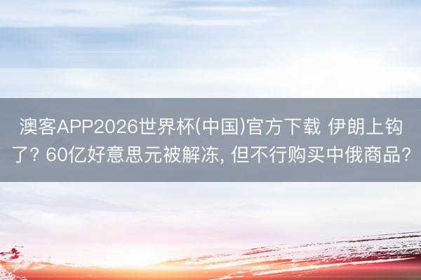 澳客APP2026世界杯(中国)官方下载 伊朗上钩了? 60亿好意思元被解冻, 但不行购买中俄商品?